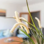 Appartement Katharina