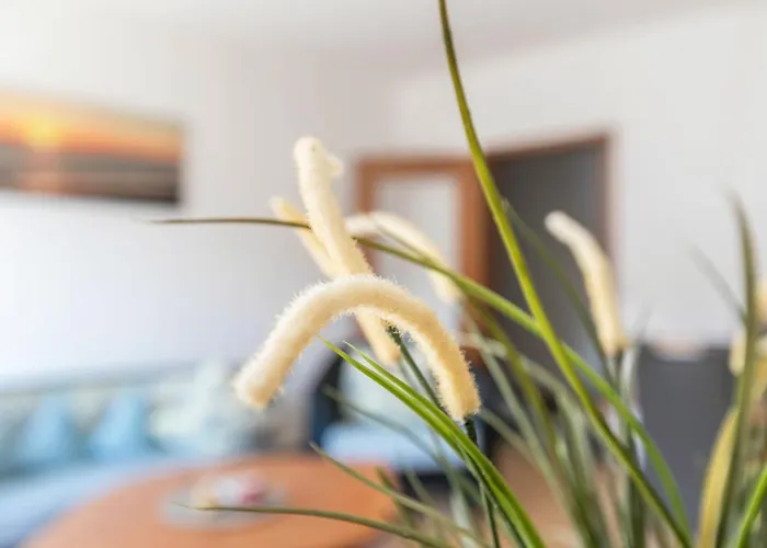 Katharina Appartement